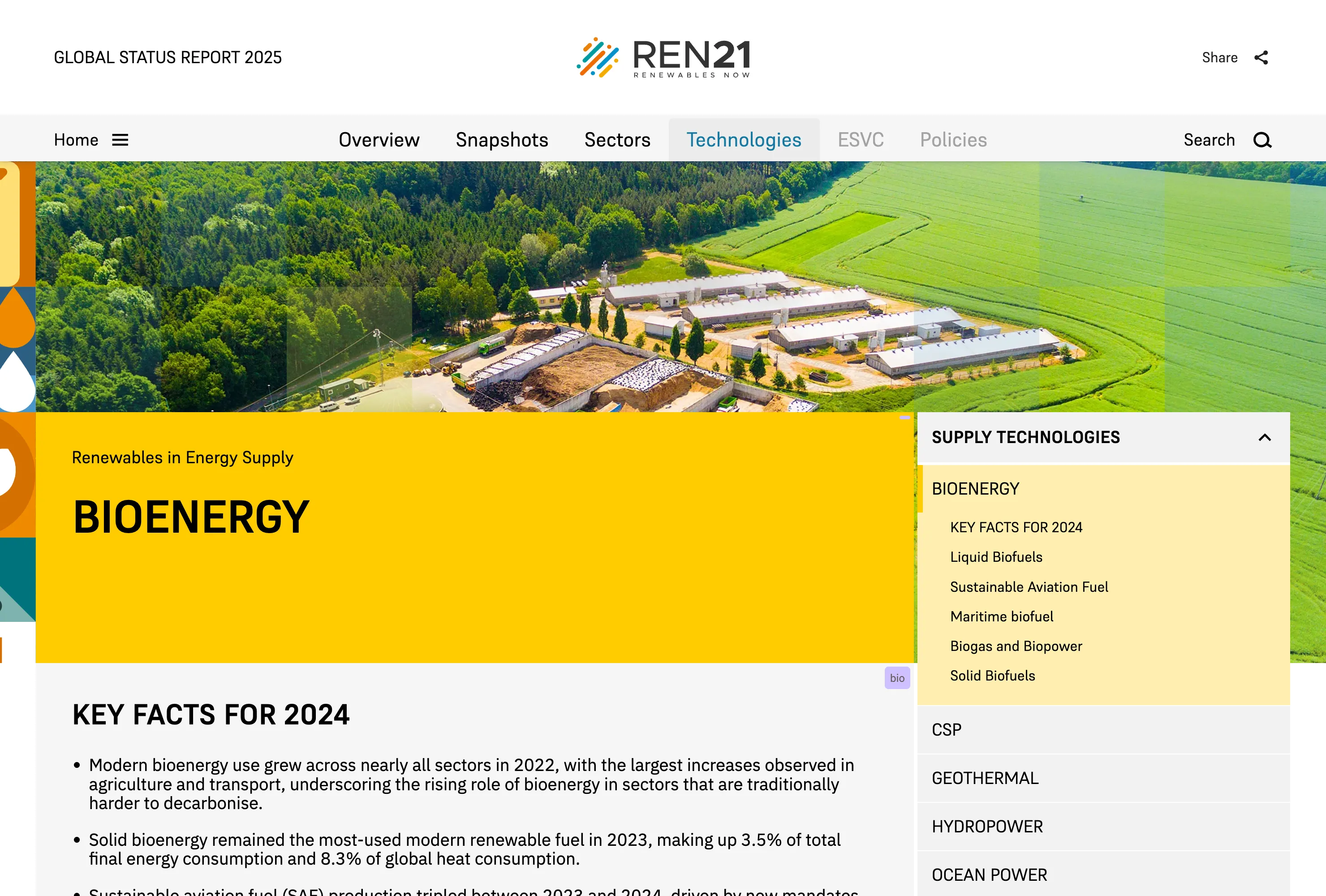 GSR 2025 | Bioenergy