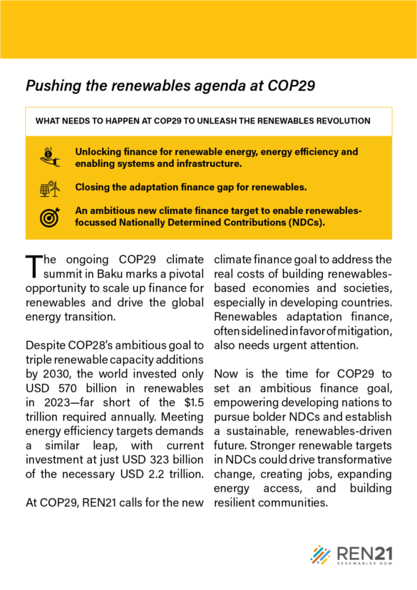 REN21 at COP29: Unlocking Climate Finance for the Energy Transition - REN21