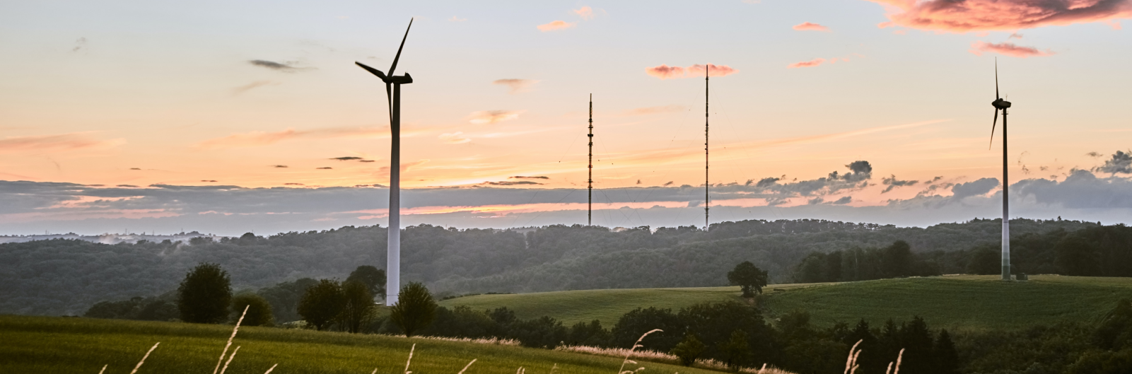 Ambition on renewables in the G20 (2022)